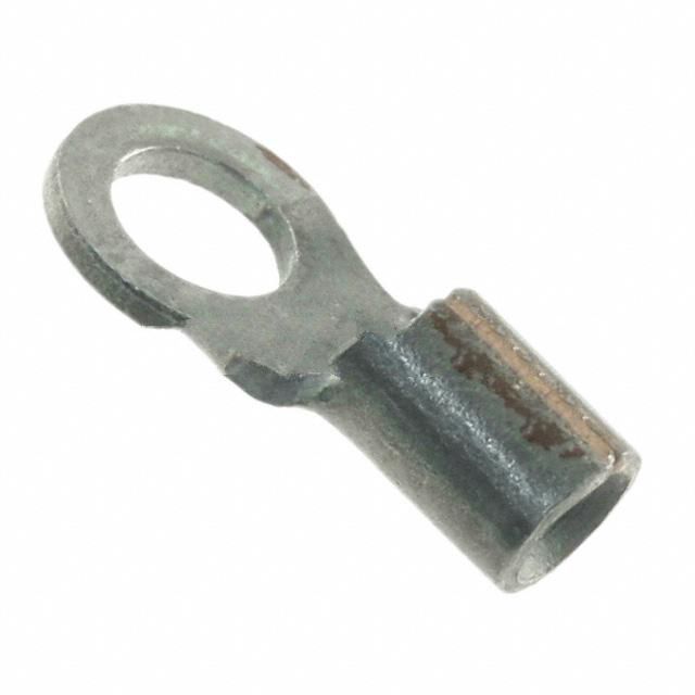 321885