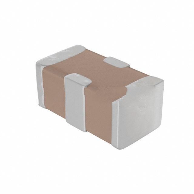 500X07W221MV4T
