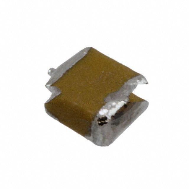 F951D106KBAAQ2