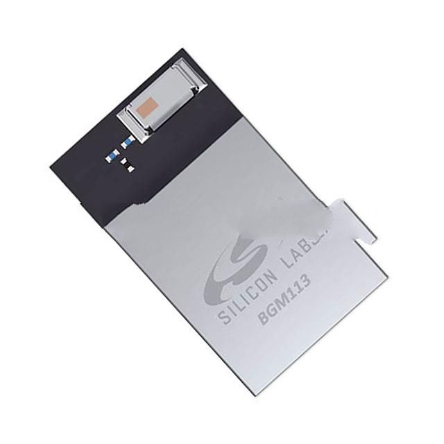 BGM113A256V1