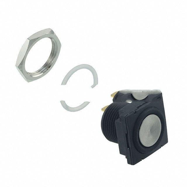 RP8600B2M1CEBLKSIL