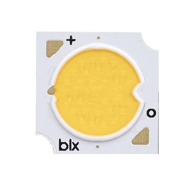BXRE-30G1000-B-73