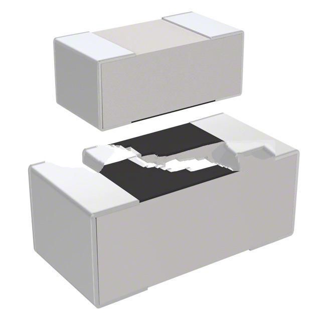 RC1005F6810CS