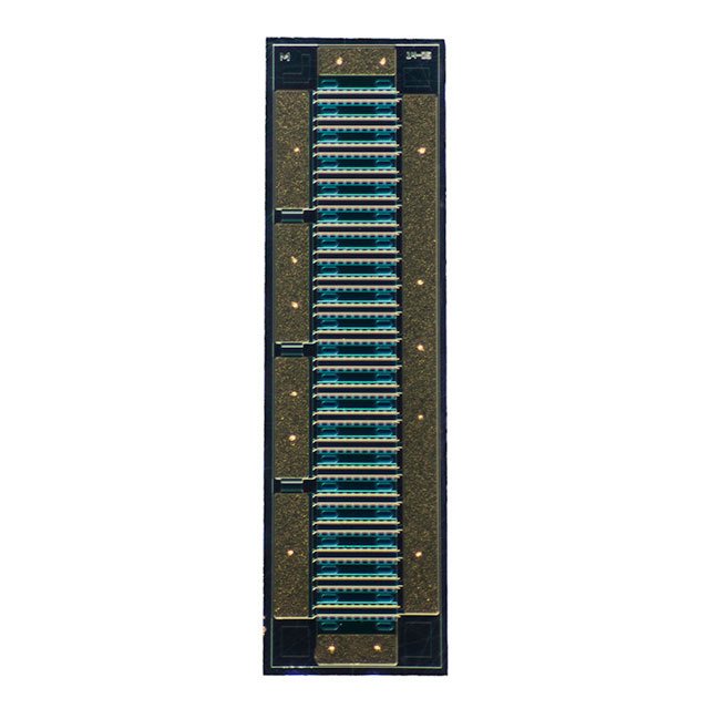 CG2H80060D-GP4